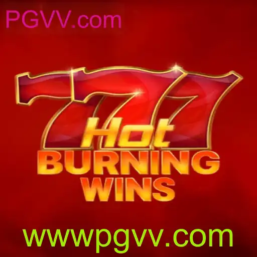 Explorando o emocionante jogo HotBurningWins